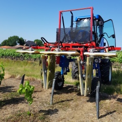 Vine trimmers on straddle tractors